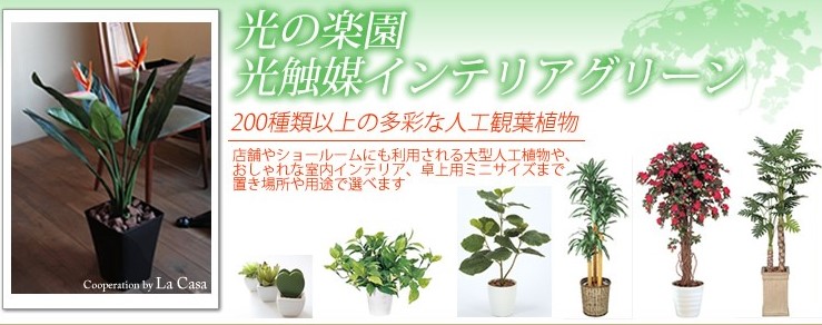 光触媒　フェイクグリーン