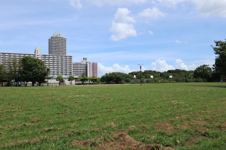 大島小松川公園
